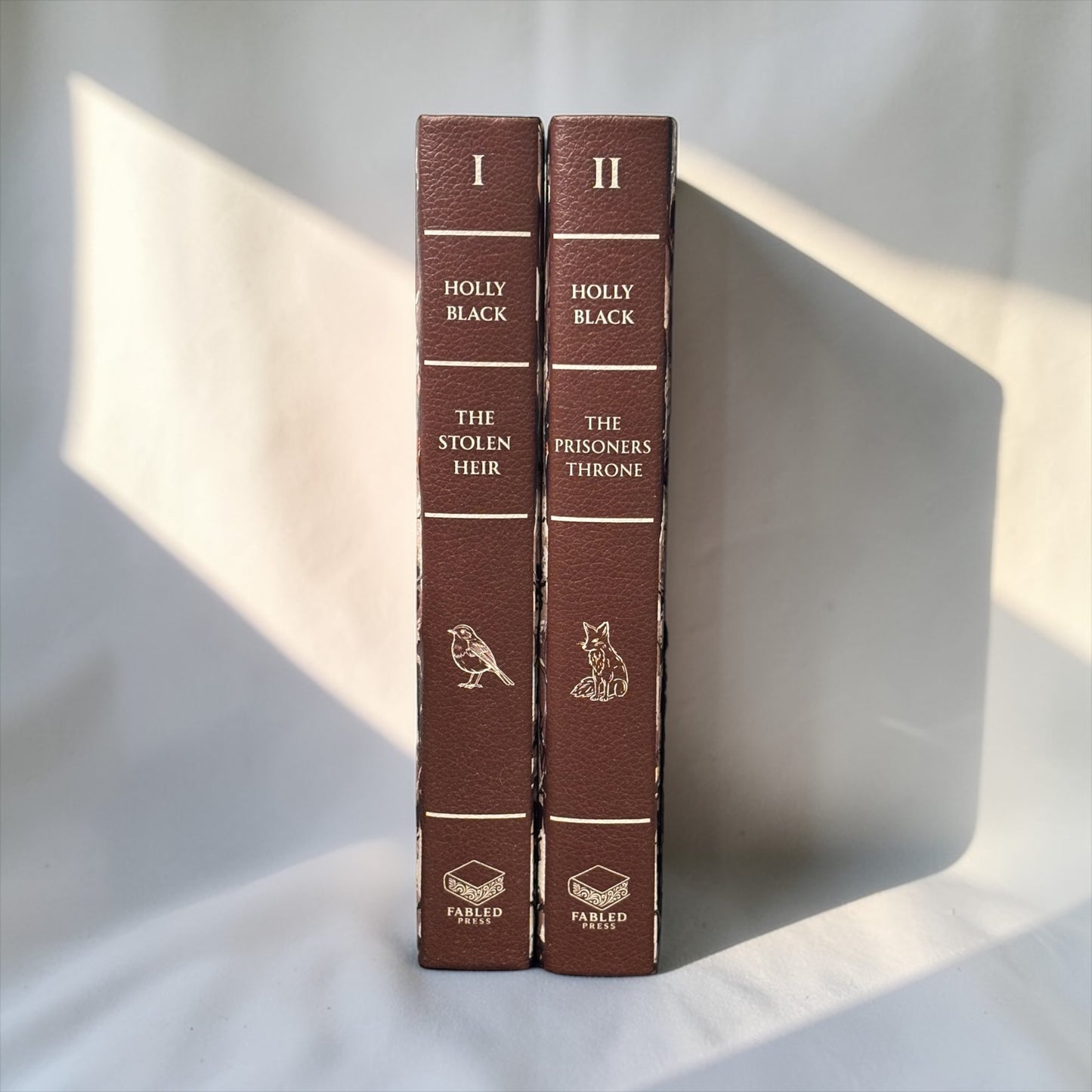 PREORDER - The Stolen Heir Duology Luxury Rebinds X Marine VHS Hand-bound Faux Leather Hardback | Sprayed Edges | Custom End Papers